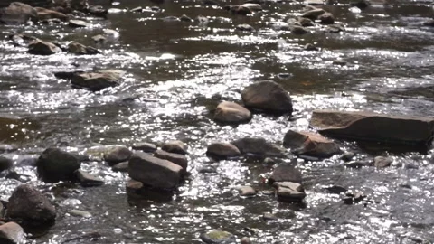 GLIMMERING CREEK Stock Footage 194383904