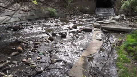 GLIMMERING CREEK WIDESHOT Stock Footage 194383953