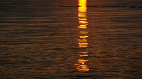 Glimmering Evening Sun Stock Footage 42766820