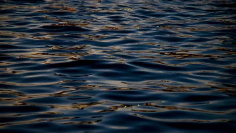 Glimmering river surface at sunset Stock Footage 145840890