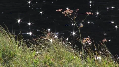 Glimmering water Stock Footage 346125969