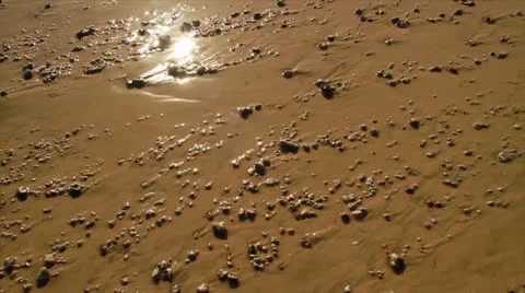 Glimmering wet sand in the sunlight Stock Footage 24794029