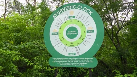 A Glimpse into Ayurveda Daily Routine Stock Footage 313564992