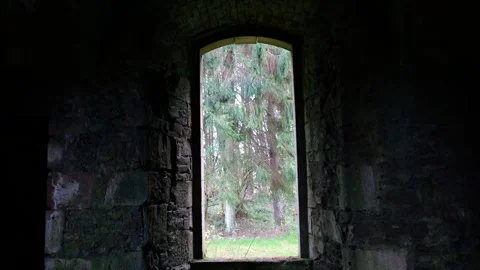 Glimpse at Fir Trees Through Stone Window: Enigmatic Vaulted Shadows - 4K Stock Footage 256034088