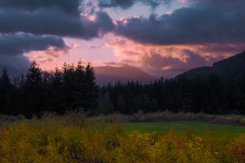 A Glimpse Of Hope Fotos de archivo