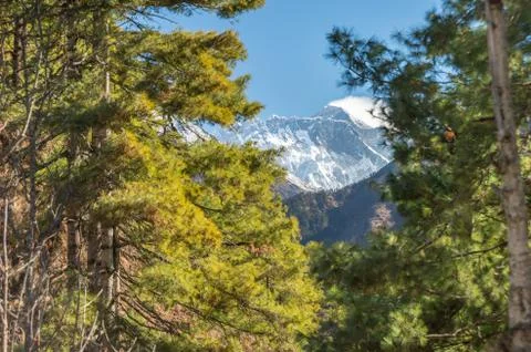 Glimpse of Mount Everest between the trees on the way to Everest Base Camp, N Stock Photos