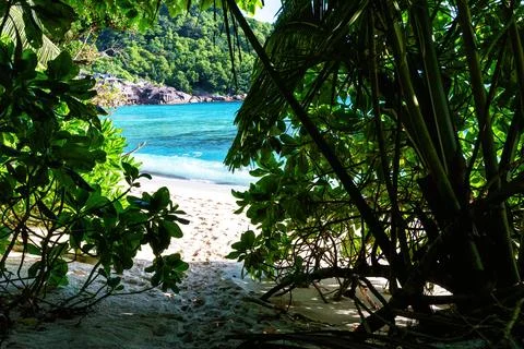 Glimpse of a pristine tropical beach, with crystal-clear turquoise water Stock Photos