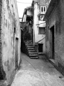 Glimpse with scale Stock Photos