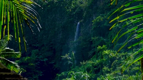 Glimpse tall waterfall flowing steep cliffs on Lavena Coastal Walk Taveuni Stock Footage 346688567