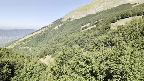 A glimpse of a thick mountain forest 스톡 동영상 344967936