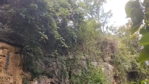 A Glimpse of Tropical Sunshine Vidéo 332925151