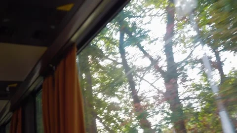 Glimpses of nature through a moving window's reflection in 4k slow motion 1.. Stockbeeldmateriaal 267690525