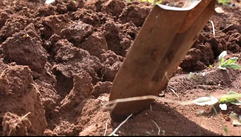 Glina-1 Stock-Footage 5812573