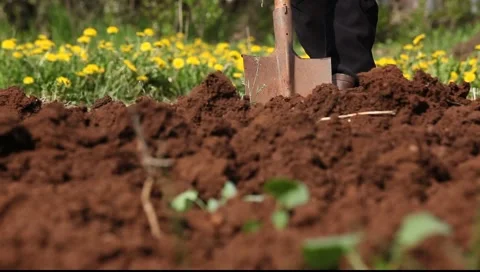 Glina-2 Stock-Footage 5558103