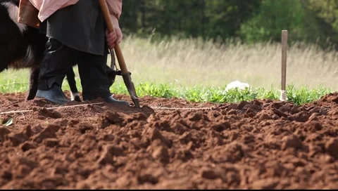 Glina-3 Stock-Footage 5565817