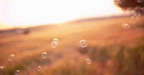 Glistening bubbles blown in the wind in a field Stock Footage 80445595