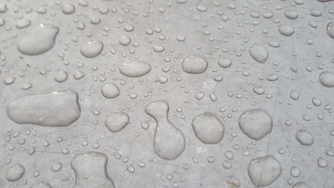 Glistening Rain Drops Captured in Sharp Detail. High quality 4k footage Video stock 293228126
