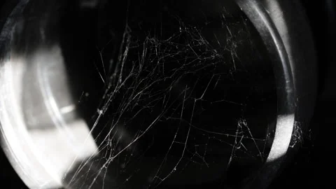 Glistening strands of a spiderweb in utter darkness. Stock Footage 317210505