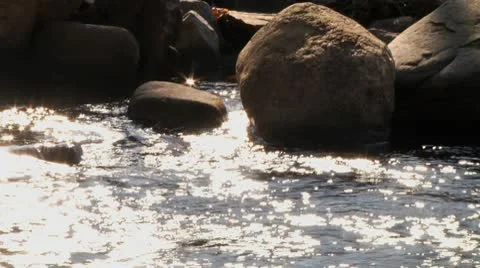 Glistening sun on babbling brook Stock Footage 8984271