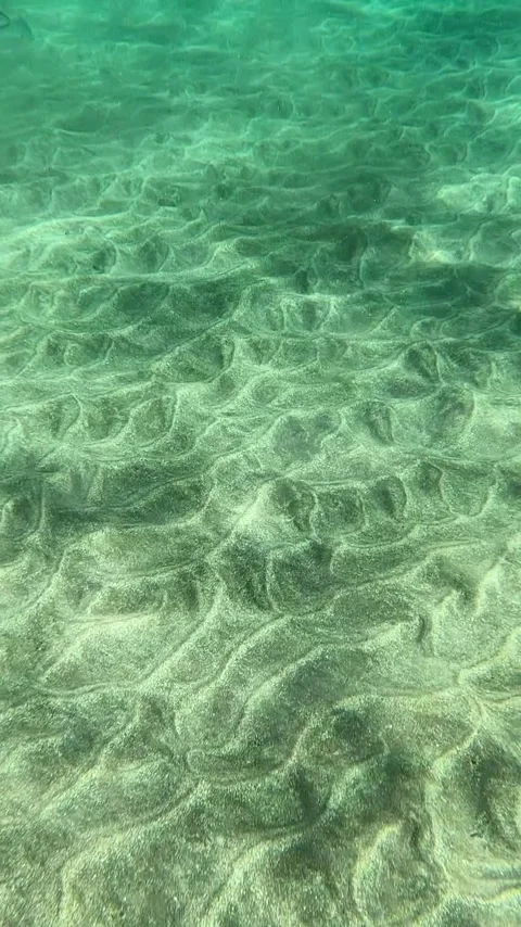 Glistening sunlight creating caustic patterns on a rippled sandy bottom under Stock Footage 344816171