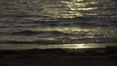 Glistering waves gently approaching the sea shore Stock Footage 77803947
