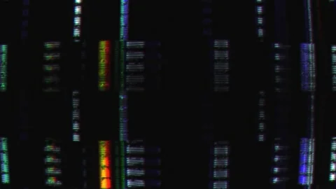 Glitch Analog Transition. Television Static Noise VFX. VHS Signal Problem a.. Stock Footage 257477553