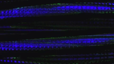 Glitch Analog Transition. Television Static Noise VFX. VHS Signal Problem a.. Vidéo 257477555