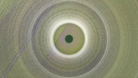 Glitch Background With Circles 14 스톡 동영상 81875946