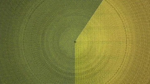 Glitch Background With Circles 16 Stock Footage 81875476