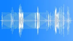 Glitch crackle Sound Effect