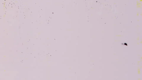 Glitch noise background Stock Footage 296005667