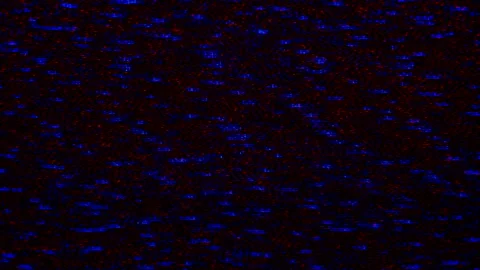 Glitch transition 動画素材 161682650