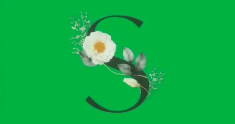 Glitches appearing around Blue S monogram with flower pulsing on transparent Video stock 317212815