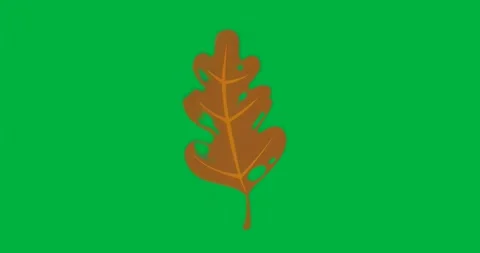 Glitches emerging around stylized oak leaf causing pixels showing glitch on Stock Footage 317456482