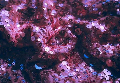 Glitter background. Fabric texture with spangles. Background sequin. Glitter  Stock Photos