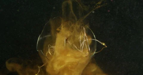 Glitter blur smoke old light bulb glass drop ink Video stock 320287051