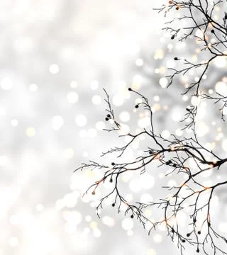 Glitter branches of tree on light silver bokeh background. Winter holidays. Stock Illustration