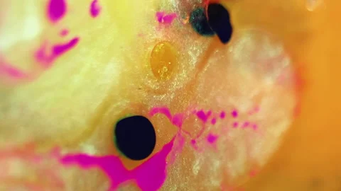 Glitter bubbles color mist paint water bright ink Video stock 260880239