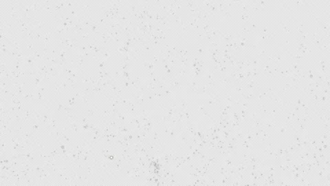 Glitter Burs on Alpha Channel Stock Footage 247039929
