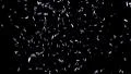 Glitter cannon silver composite overlay element HD Footage