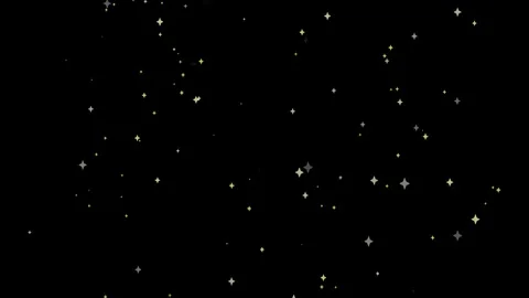 Glitter effect loop animation (with luma matte) Stock Footage 316797275