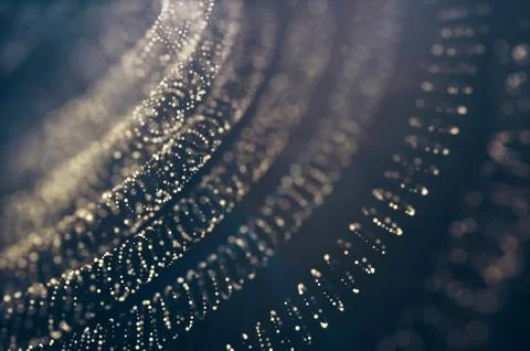 Glitter lights defocused background Illustrazione stock