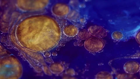 Glitter oil drops paint flow blue golden blobs ink Stock Footage 278177183