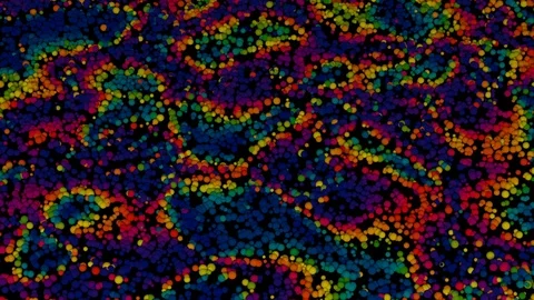 Glitter Particles Background. Dust Particles Background. Loop Video stock 106552822