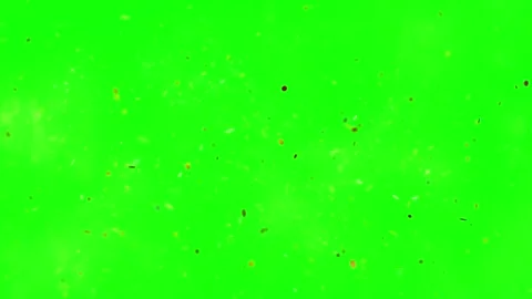 Glitter particles falling on green screen background Video stock 338042835