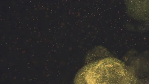 The glitter particles floating on the black background. slow motion Stock Footage 160066462
