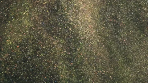 The glitter particles flying on the dark background. slow motion Stock Footage 160066322