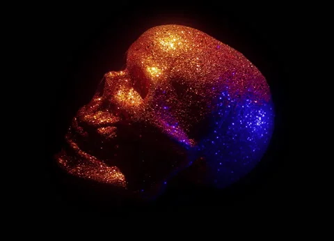 Glitter Skull Stock Footage 213615323