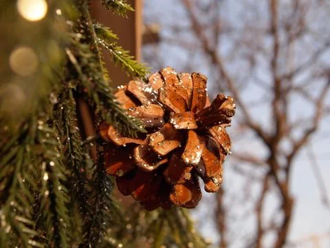 Glittered Pinecone On Pine Garland Stock Photos