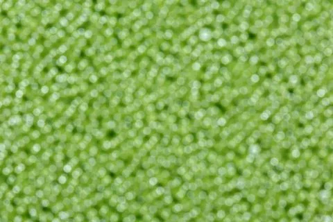 Glittering green background. Stock Photos